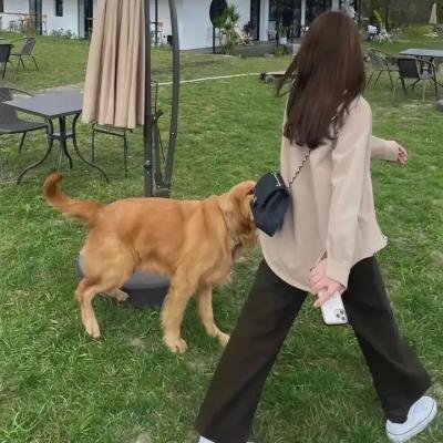 爱的殉道